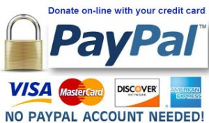 paypal__donate